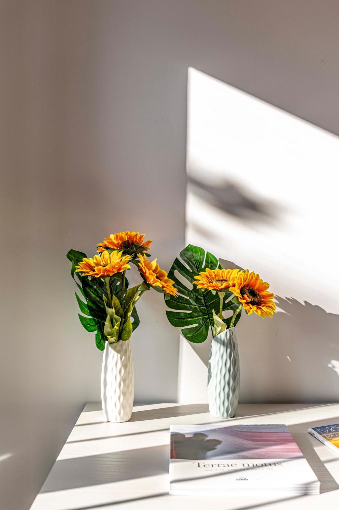 L'Aquila Home 'Il Comfort In 4 Camere' Esterno foto